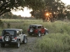 wrangler_img17.jpg