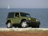 wrangler_img6.jpg